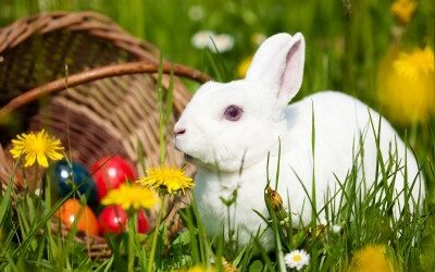 Wir machen Osterpause!