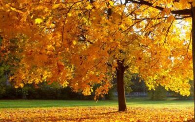 Unsere Pause im Herbst 2018