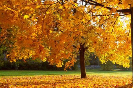 Unsere Pause im Herbst 2018